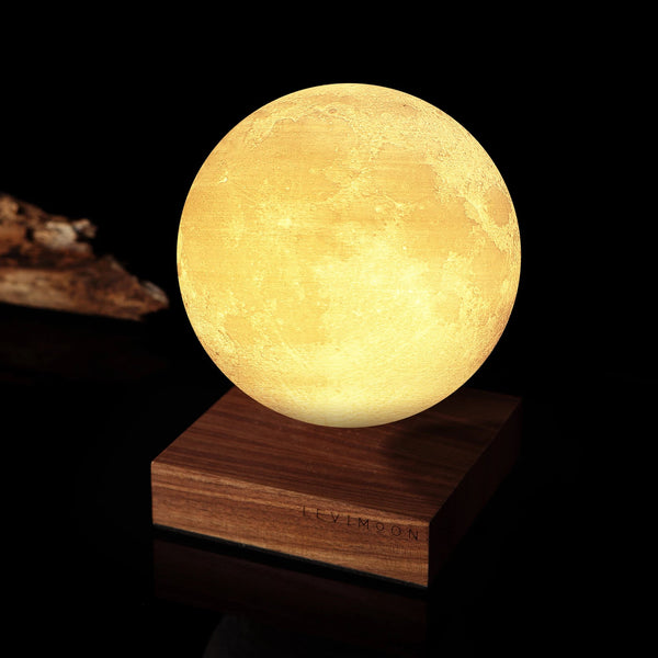 The Levitating Moon Light (Large)